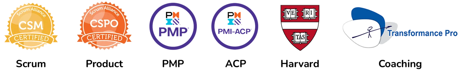 Certifications: Scrum, Product Owner, PMP, PMI-ACP, Harvard, Coaching